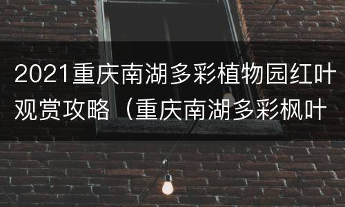 2021重庆南湖多彩植物园红叶观赏攻略（重庆南湖多彩枫叶园）