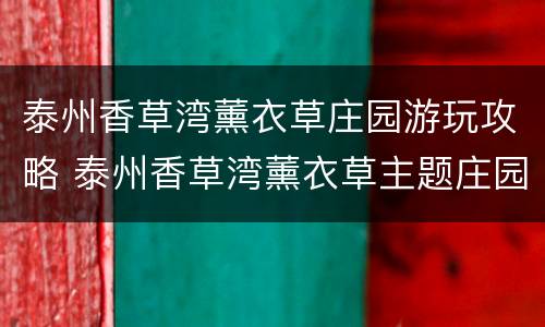 泰州香草湾薰衣草庄园游玩攻略 泰州香草湾薰衣草主题庄园好玩吗