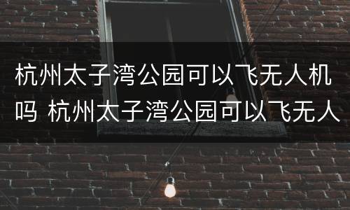 杭州太子湾公园可以飞无人机吗 杭州太子湾公园可以飞无人机吗多少钱
