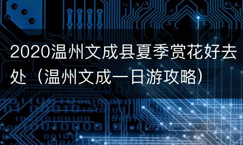 2020温州文成县夏季赏花好去处（温州文成一日游攻略）