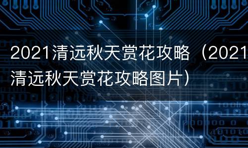 2021清远秋天赏花攻略（2021清远秋天赏花攻略图片）
