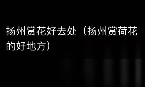 扬州赏花好去处（扬州赏荷花的好地方）