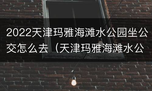 2022天津玛雅海滩水公园坐公交怎么去（天津玛雅海滩水公园地铁几号线到）