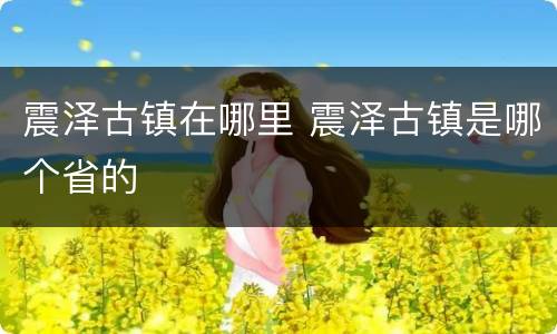 震泽古镇在哪里 震泽古镇是哪个省的