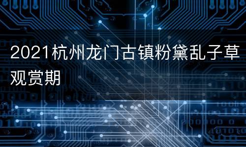 2021杭州龙门古镇粉黛乱子草观赏期