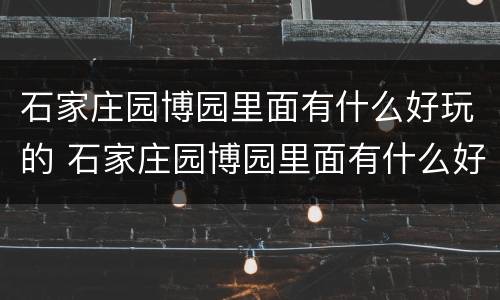 石家庄园博园里面有什么好玩的 石家庄园博园里面有什么好玩的地方