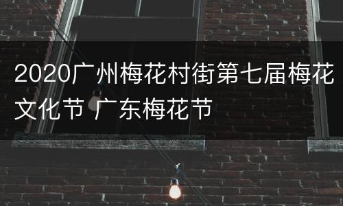2020广州梅花村街第七届梅花文化节 广东梅花节