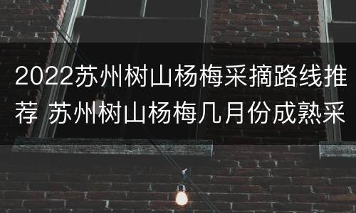 2022苏州树山杨梅采摘路线推荐 苏州树山杨梅几月份成熟采摘