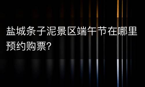盐城条子泥景区端午节在哪里预约购票？