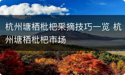 杭州塘栖枇杷采摘技巧一览 杭州塘栖枇杷市场