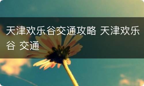 天津欢乐谷交通攻略 天津欢乐谷 交通