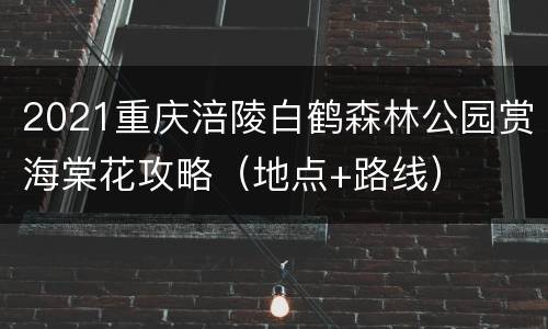 2021重庆涪陵白鹤森林公园赏海棠花攻略（地点+路线）