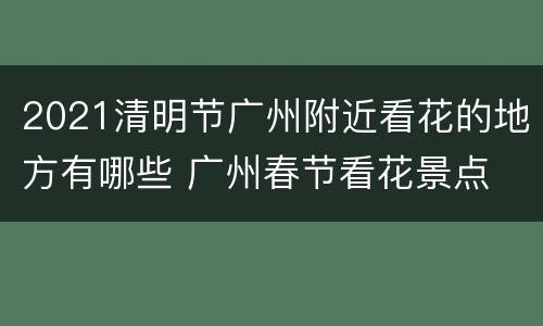 2021清明节广州附近看花的地方有哪些 广州春节看花景点