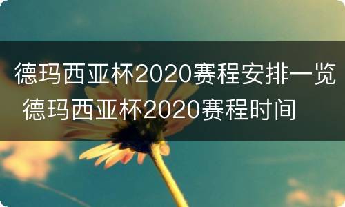 德玛西亚杯2020赛程安排一览 德玛西亚杯2020赛程时间