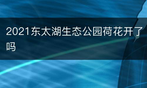 2021东太湖生态公园荷花开了吗