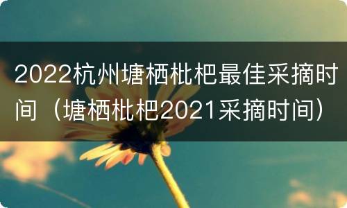 2022杭州塘栖枇杷最佳采摘时间（塘栖枇杷2021采摘时间）