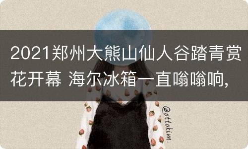 2021郑州大熊山仙人谷踏青赏花开幕 海尔冰箱一直嗡嗡响,打开就不响了