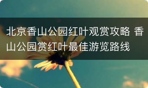 北京香山公园红叶观赏攻略 香山公园赏红叶最佳游览路线