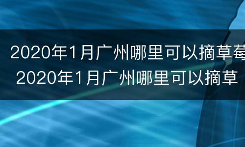 2020年1月广州哪里可以摘草莓 2020年1月广州哪里可以摘草莓种子