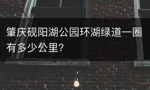 肇庆砚阳湖公园环湖绿道一圈有多少公里？