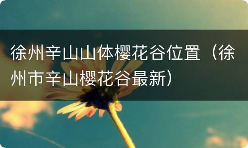 徐州辛山山体樱花谷位置（徐州市辛山樱花谷最新）