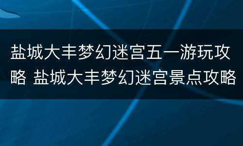 盐城大丰梦幻迷宫五一游玩攻略 盐城大丰梦幻迷宫景点攻略
