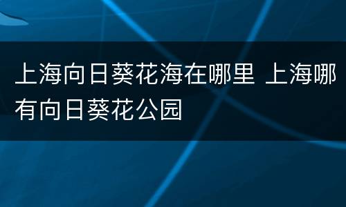 上海向日葵花海在哪里 上海哪有向日葵花公园