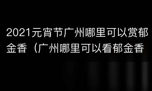 2021元宵节广州哪里可以赏郁金香（广州哪里可以看郁金香）