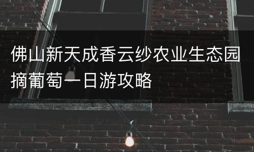 佛山新天成香云纱农业生态园摘葡萄一日游攻略