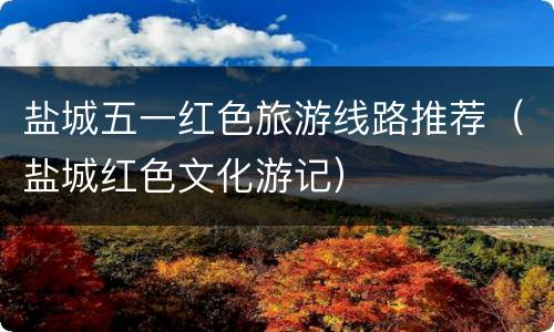 盐城五一红色旅游线路推荐（盐城红色文化游记）
