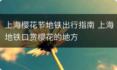 上海樱花节地铁出行指南 上海地铁口赏樱花的地方