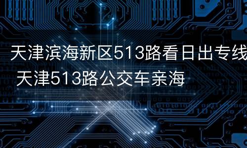 天津滨海新区513路看日出专线 天津513路公交车亲海