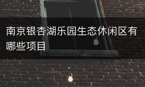 南京银杏湖乐园生态休闲区有哪些项目