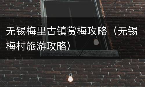 无锡梅里古镇赏梅攻略（无锡梅村旅游攻略）