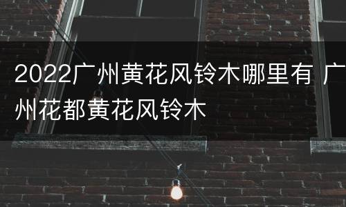 2022广州黄花风铃木哪里有 广州花都黄花风铃木