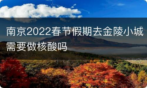 南京2022春节假期去金陵小城需要做核酸吗