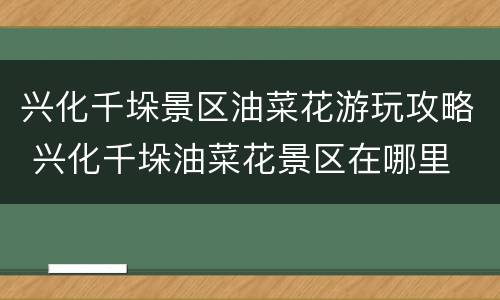 兴化千垛景区油菜花游玩攻略 兴化千垛油菜花景区在哪里