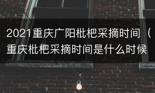 2021重庆广阳枇杷采摘时间（重庆枇杷采摘时间是什么时候）