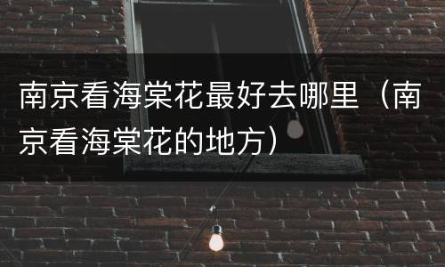 南京看海棠花最好去哪里（南京看海棠花的地方）