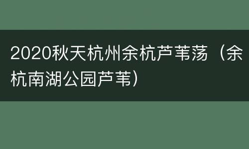 2020秋天杭州余杭芦苇荡（余杭南湖公园芦苇）