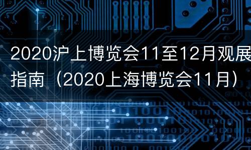 2020沪上博览会11至12月观展指南（2020上海博览会11月）
