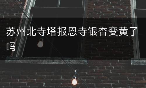 苏州北寺塔报恩寺银杏变黄了吗