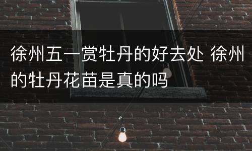徐州五一赏牡丹的好去处 徐州的牡丹花苗是真的吗