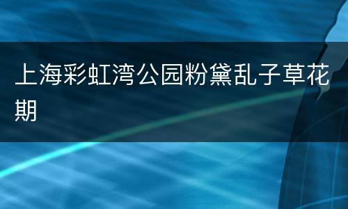 上海彩虹湾公园粉黛乱子草花期