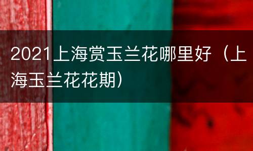 2021上海赏玉兰花哪里好（上海玉兰花花期）