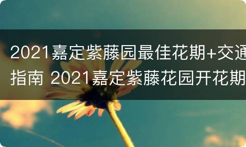 2021嘉定紫藤园最佳花期+交通指南 2021嘉定紫藤花园开花期