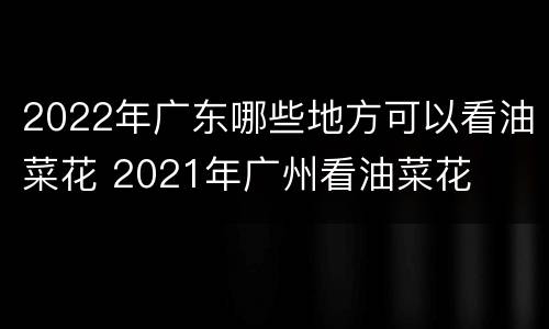 2022年广东哪些地方可以看油菜花 2021年广州看油菜花
