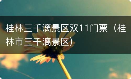 桂林三千漓景区双11门票（桂林市三千漓景区）