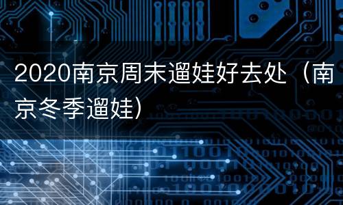 2020南京周末遛娃好去处（南京冬季遛娃）