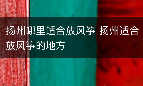 扬州哪里适合放风筝 扬州适合放风筝的地方